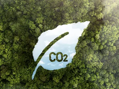 Enerji Verimliliği ve <span>Çevre Dostu Çözümler</span>